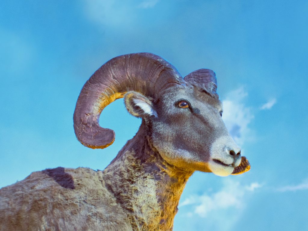 Hidden Gems in Cocoa Beach - Ocean Landing Resort and Racquet Club