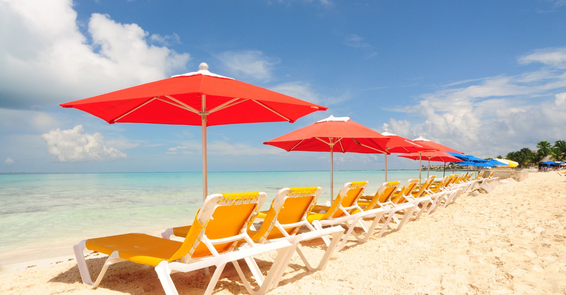 Umbrellas and chairs lined up on a beautiful beach