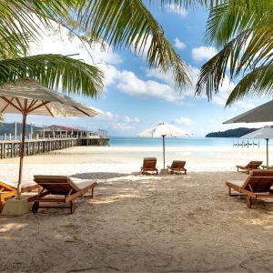 Beautiful beach with chairs and palm trees